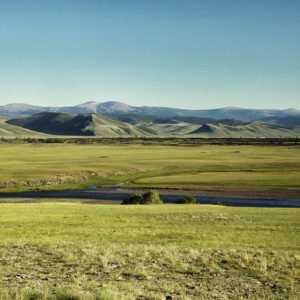 Trek à travers les steppes vertes