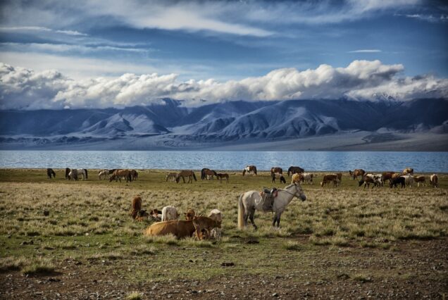 Le Grand Nord de la Mongolie